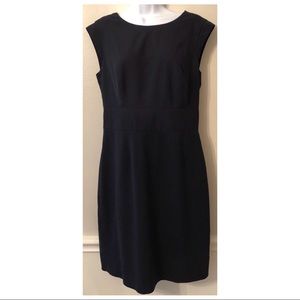 The Limited Collection Navy Sheath Dress.